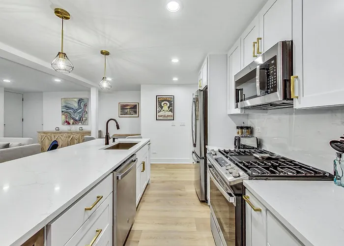 Apartment East Lincoln Park Gem Spacious 4 Br *
